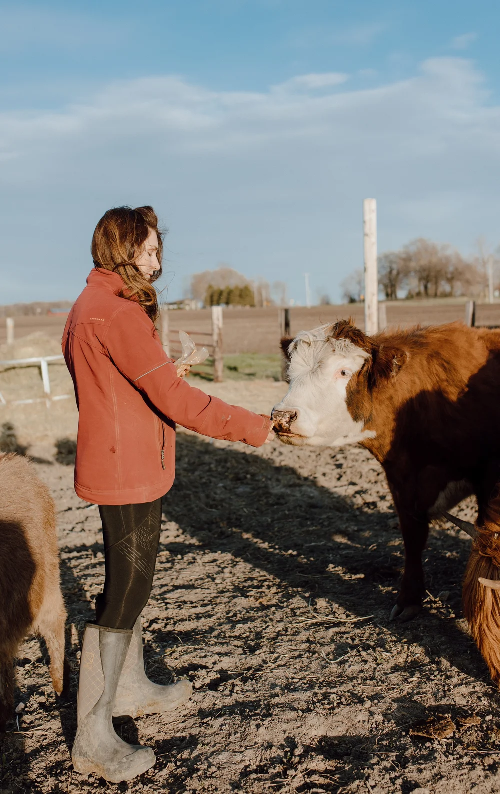 Farm Tours — Rassier Ranch