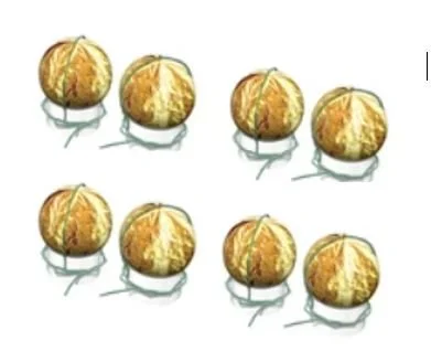NishikiBulk.JPG