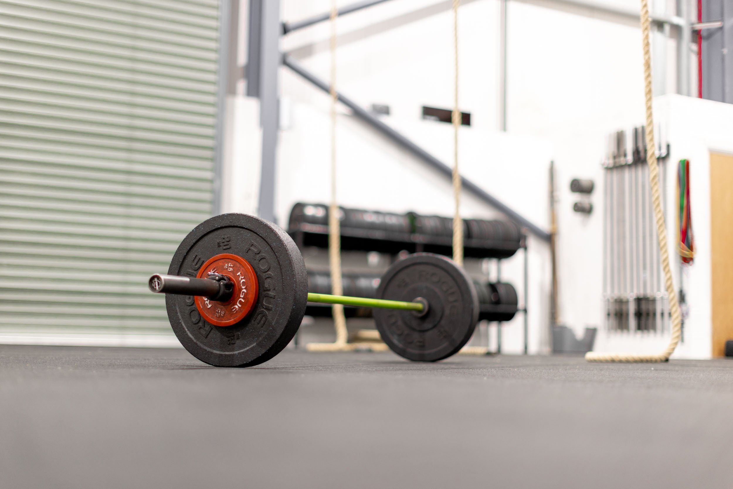 Olympic Barbell &amp; Bumper Plates