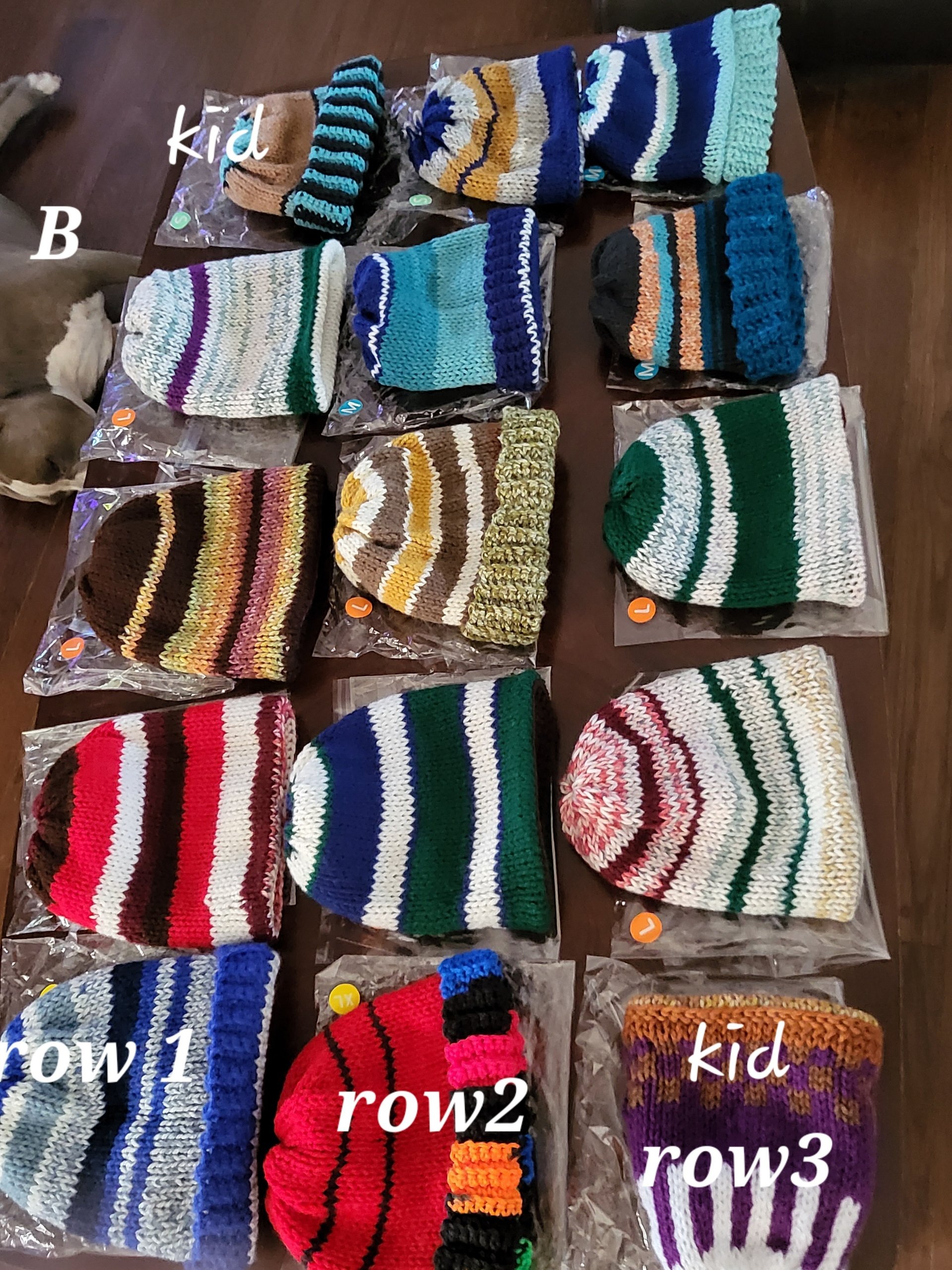 processed_8285e4ddde8e4332be0ee5f4fe79b5a3.jpeg