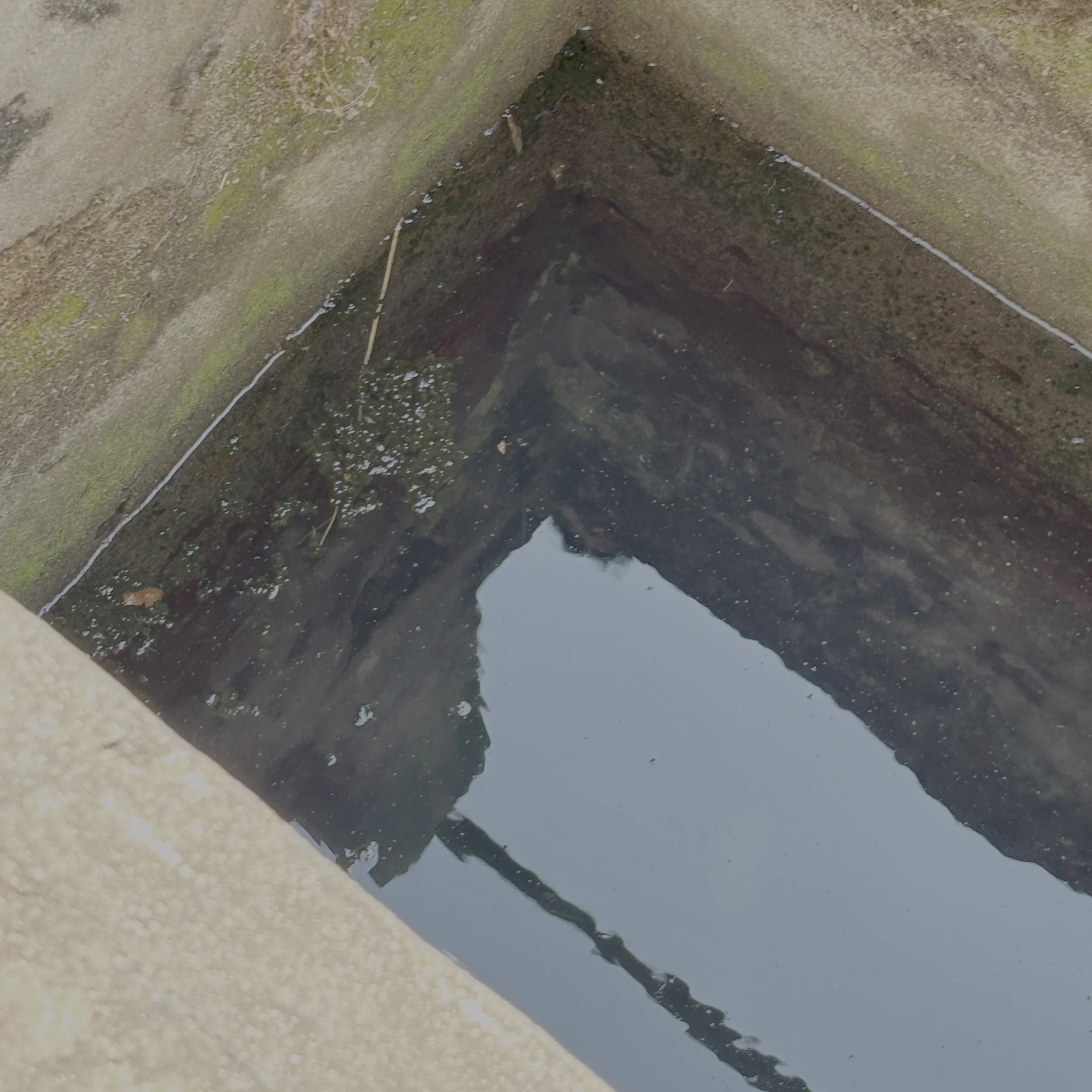 Open well.jpg