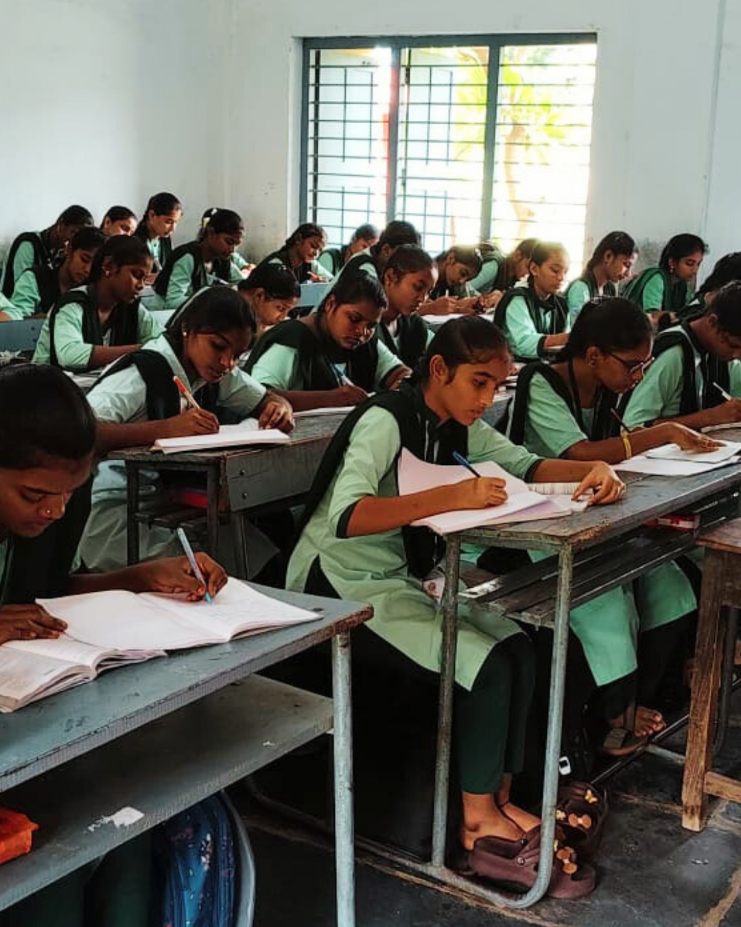 Back in Class Where They Belong!