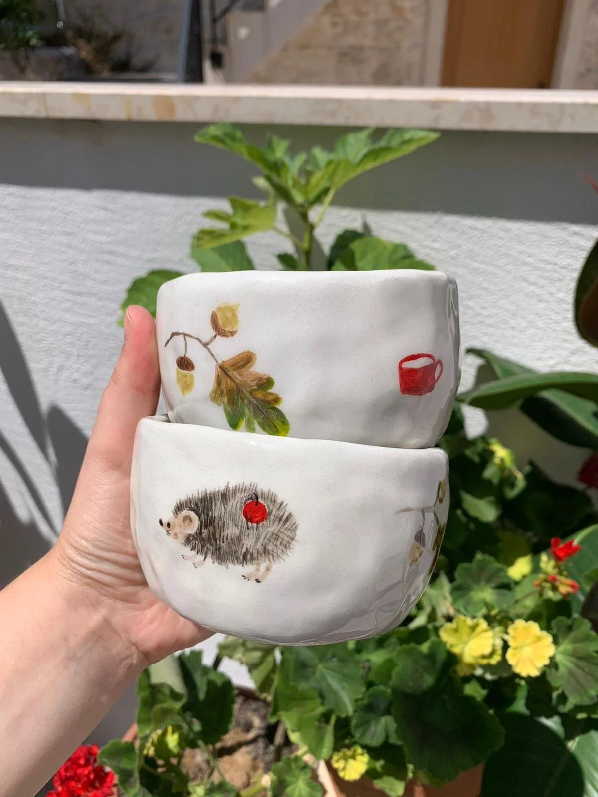 Hedgehog Cup