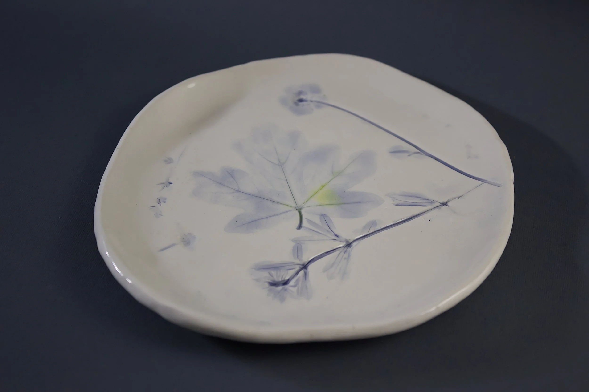 Plate1.jpg