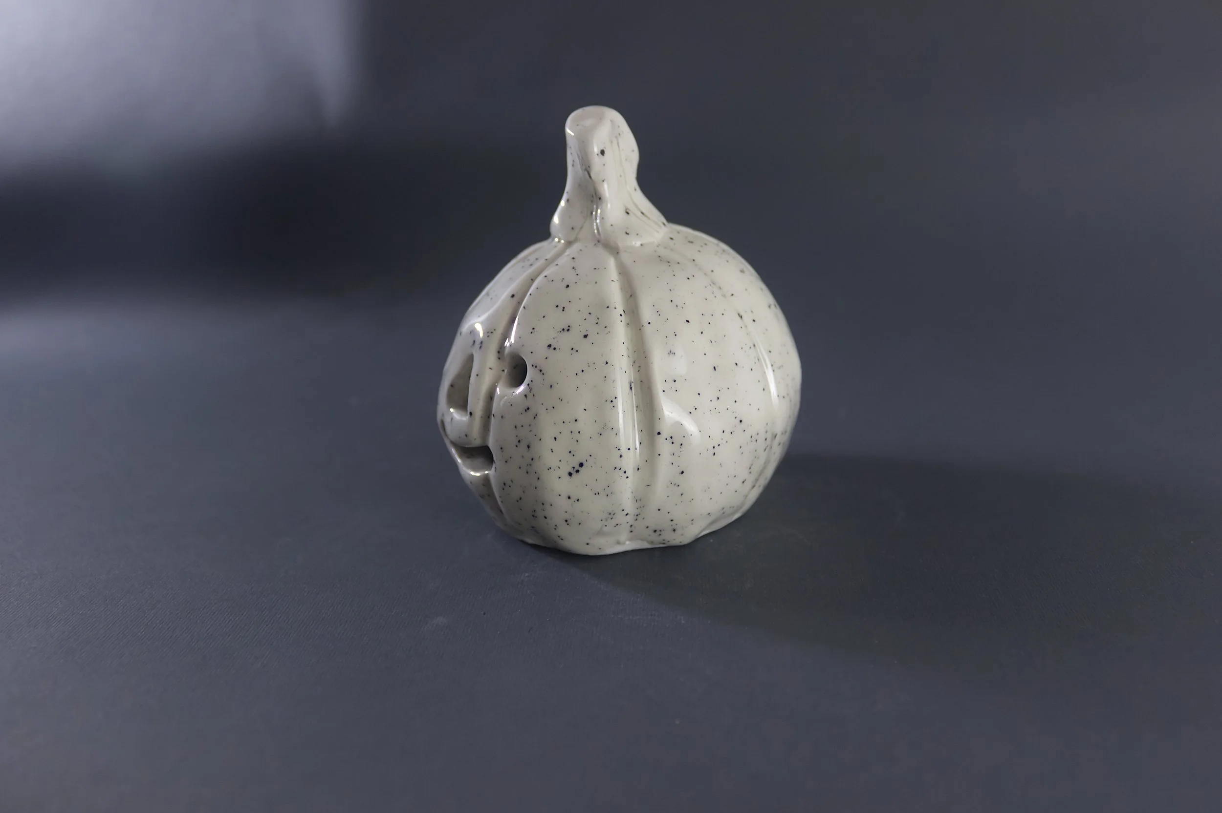 White umpkin from the side_downscaled.jpg