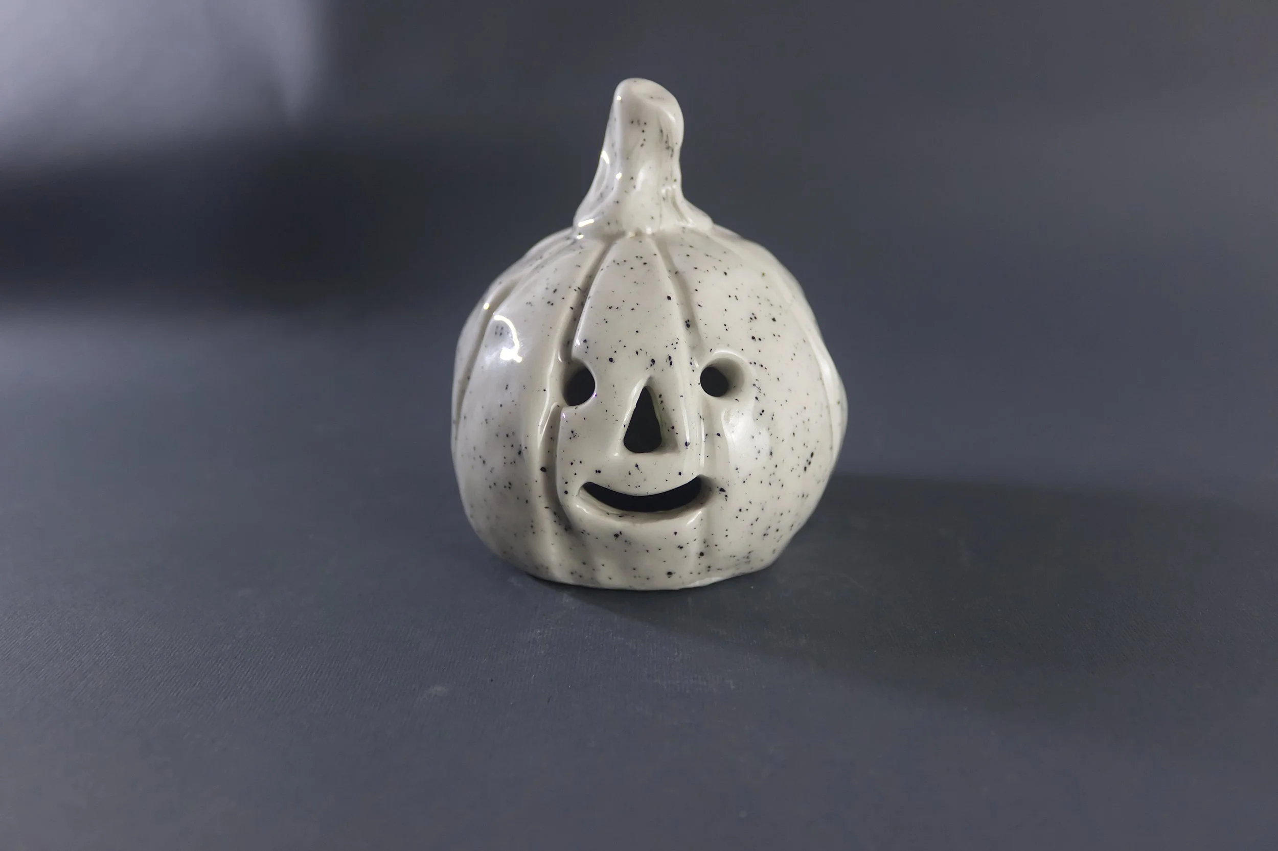 White Pumpkin_downscaled.jpg