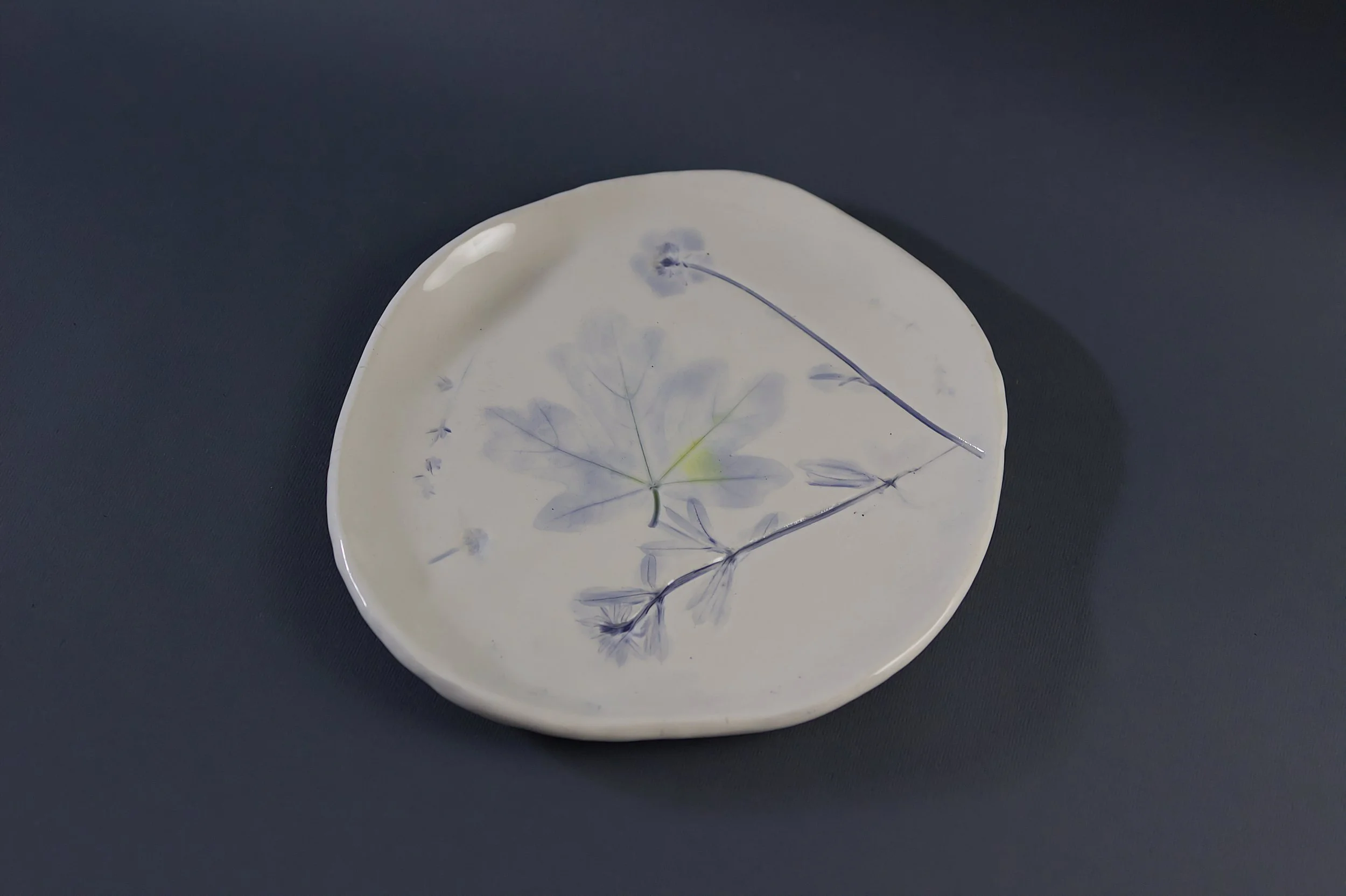 Plate1.2.jpg