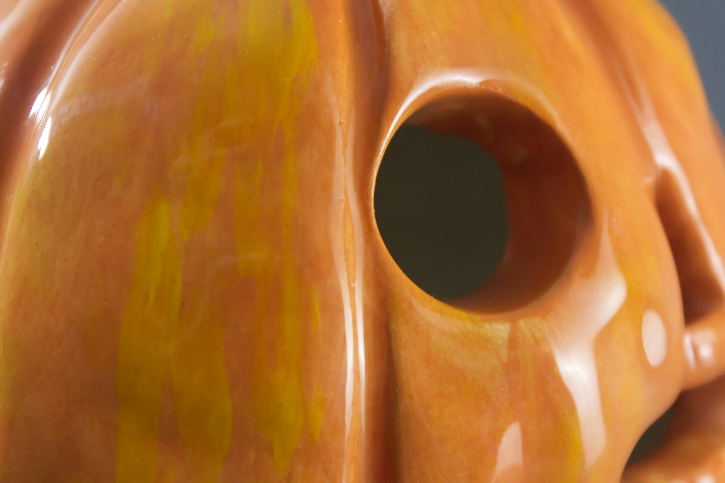 Big Pumpkin Closeup_downscaled.jpg