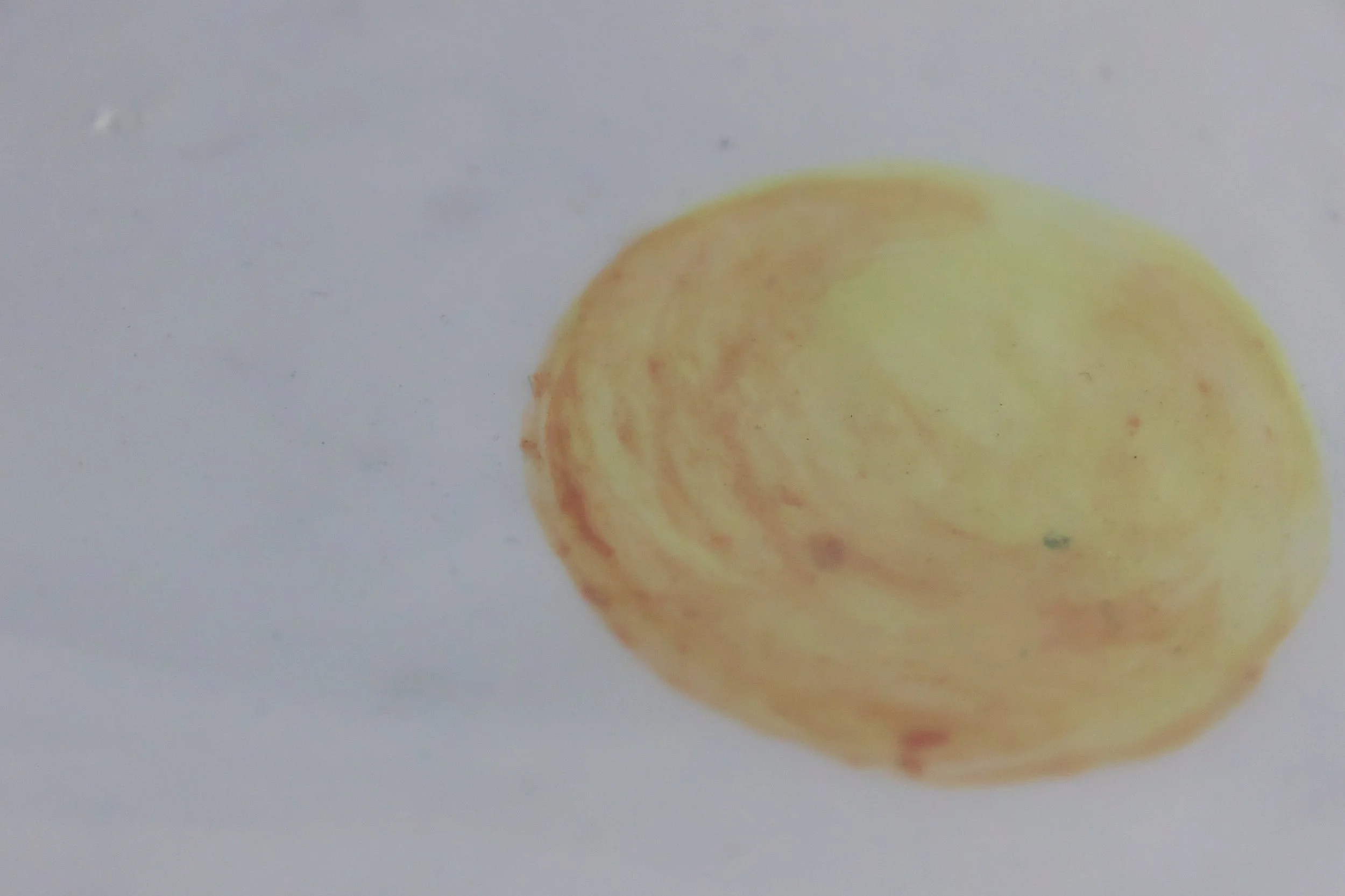 ToastPlate3.jpg