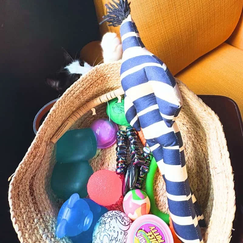 A basket of cat toys and a cat