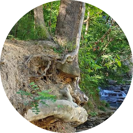 Mountainman Ecotherapy