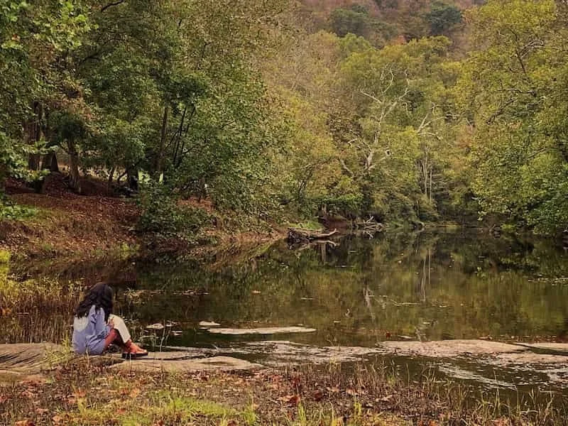 A woman by the side of a pond