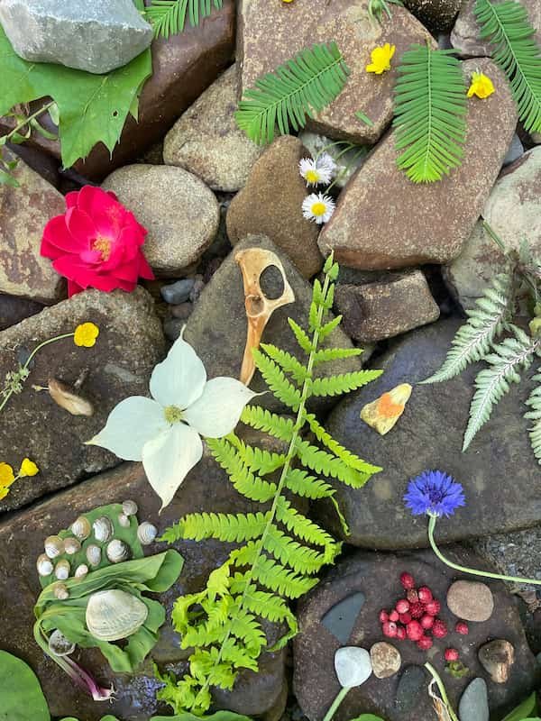 Flowers laid on a rock