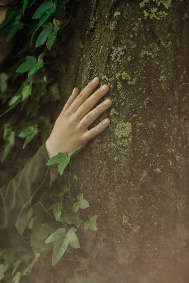 a hand touching a tree