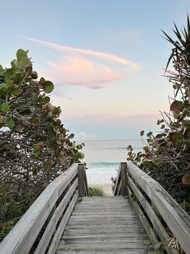 a wooden path leading to the beach