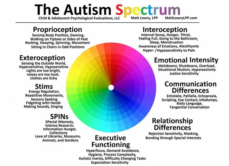the autism spectrum