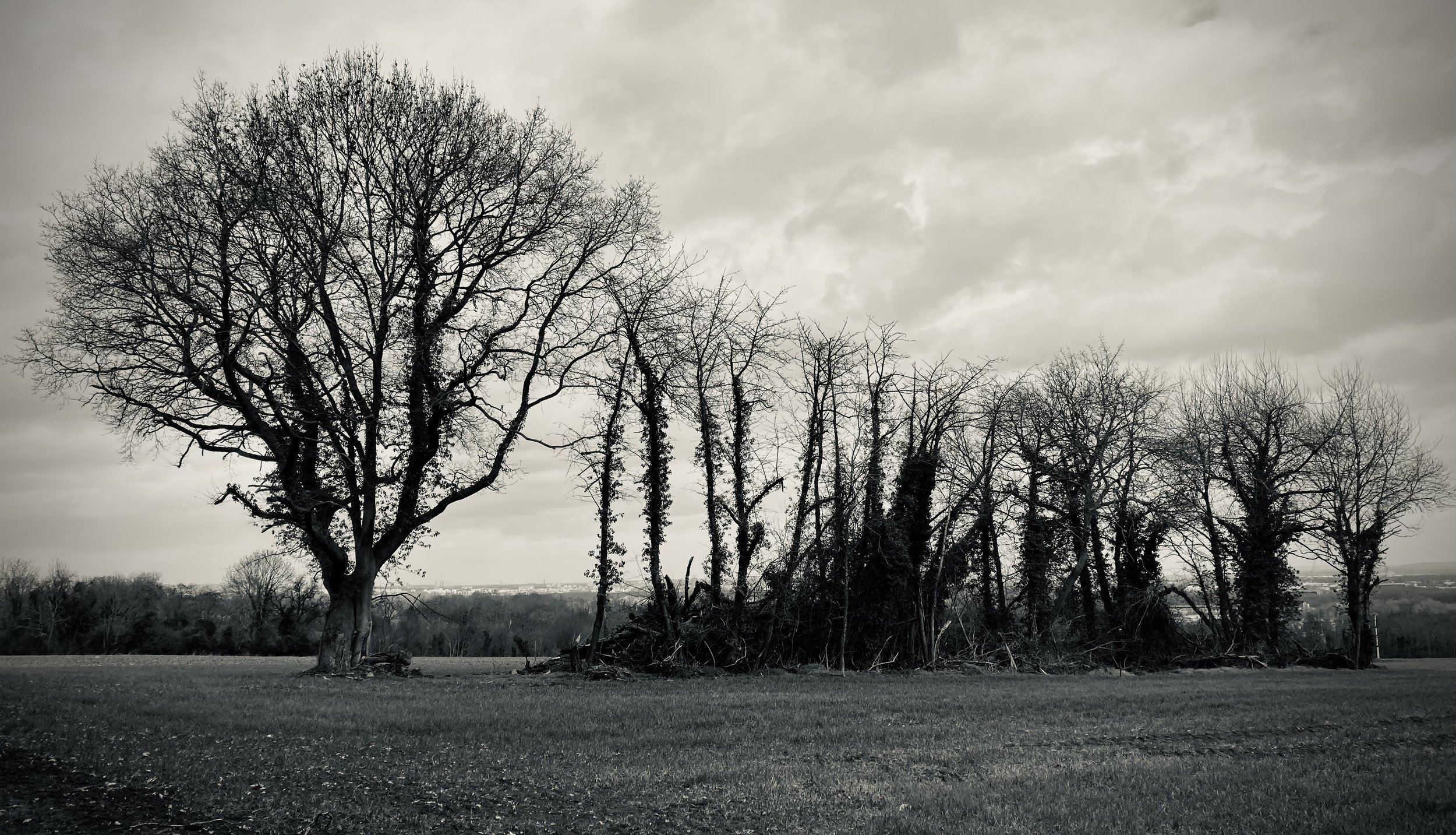 Maurecourt | France, 2023