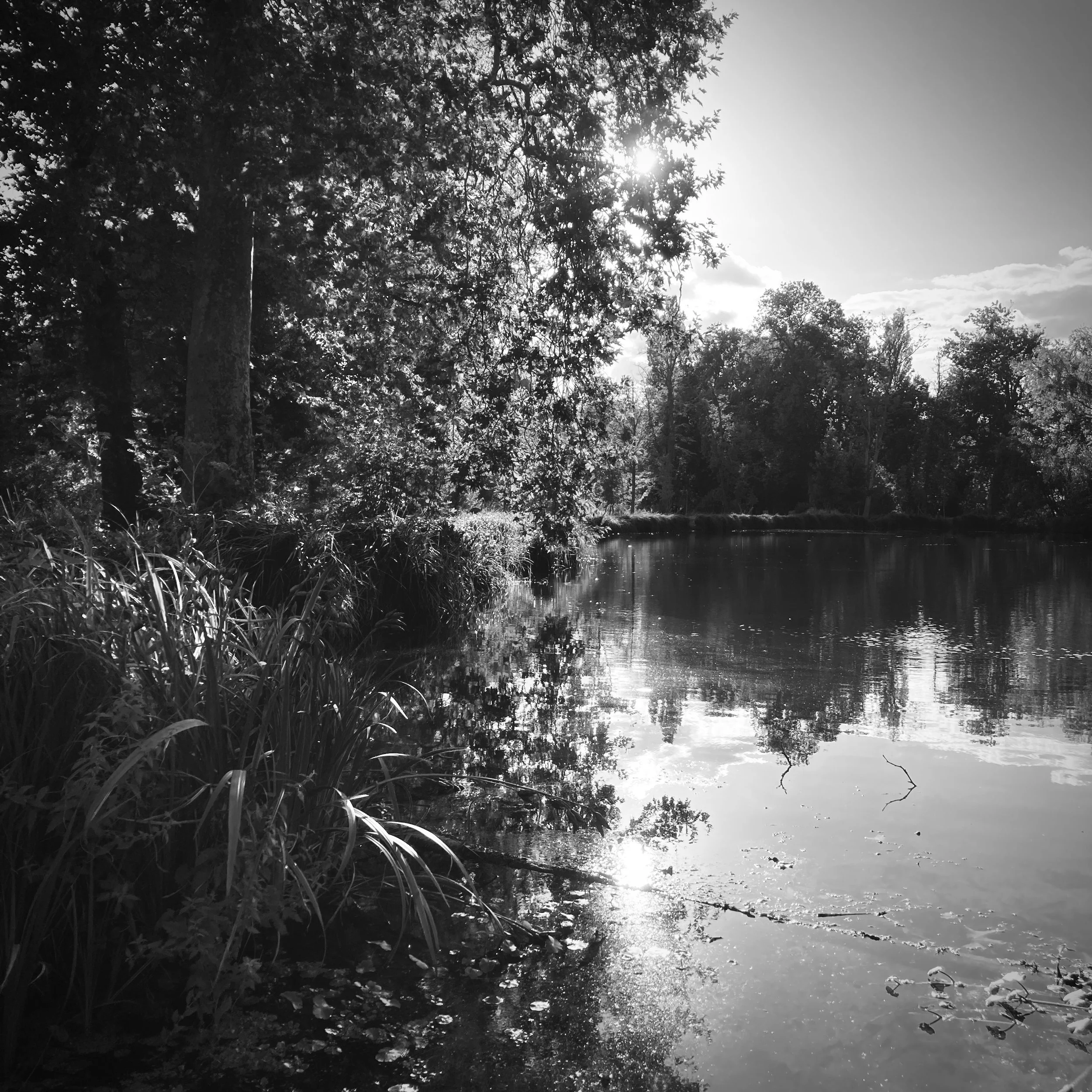 Chantilly | France, 2023