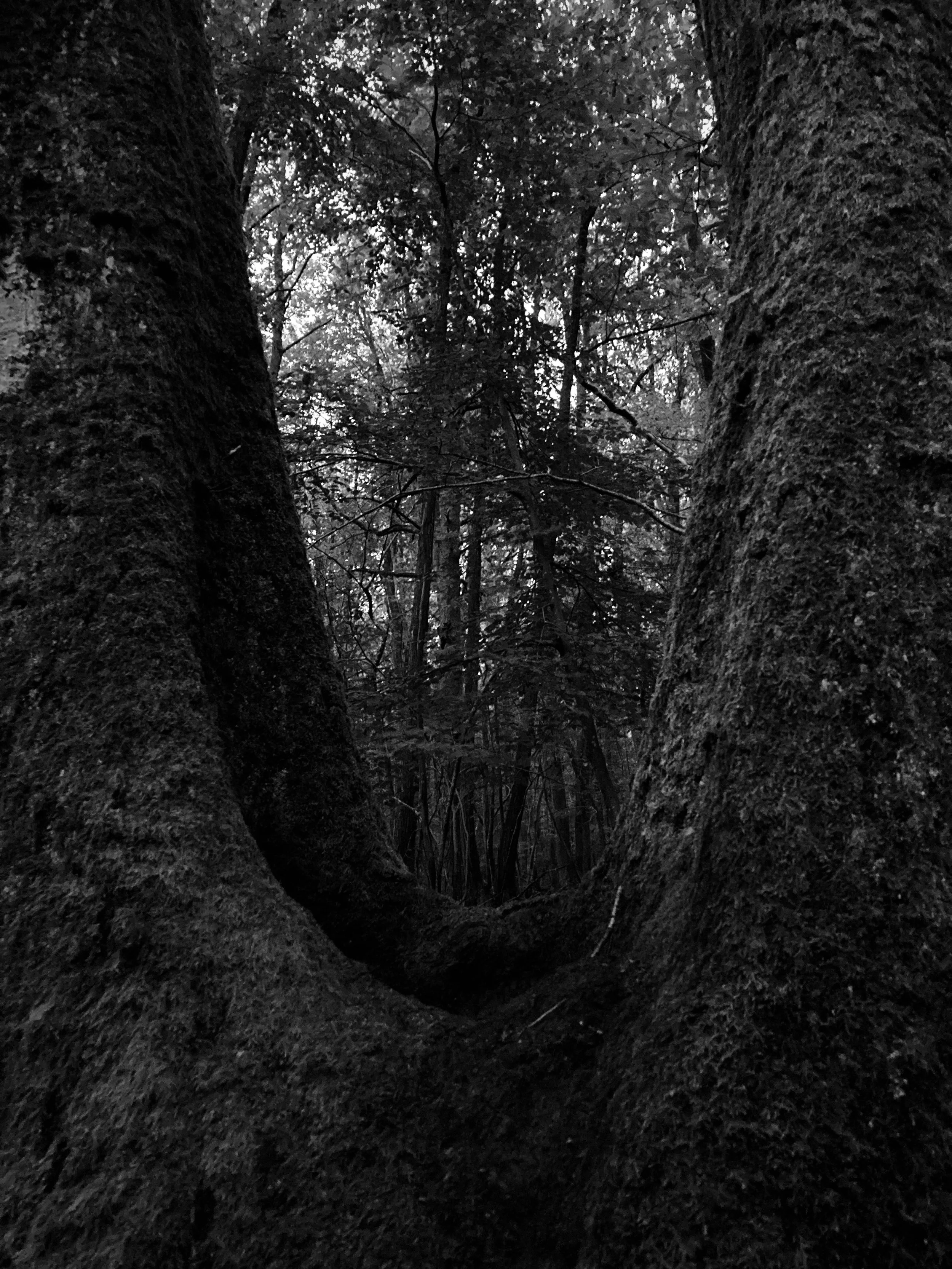 Boersch | France, 2024