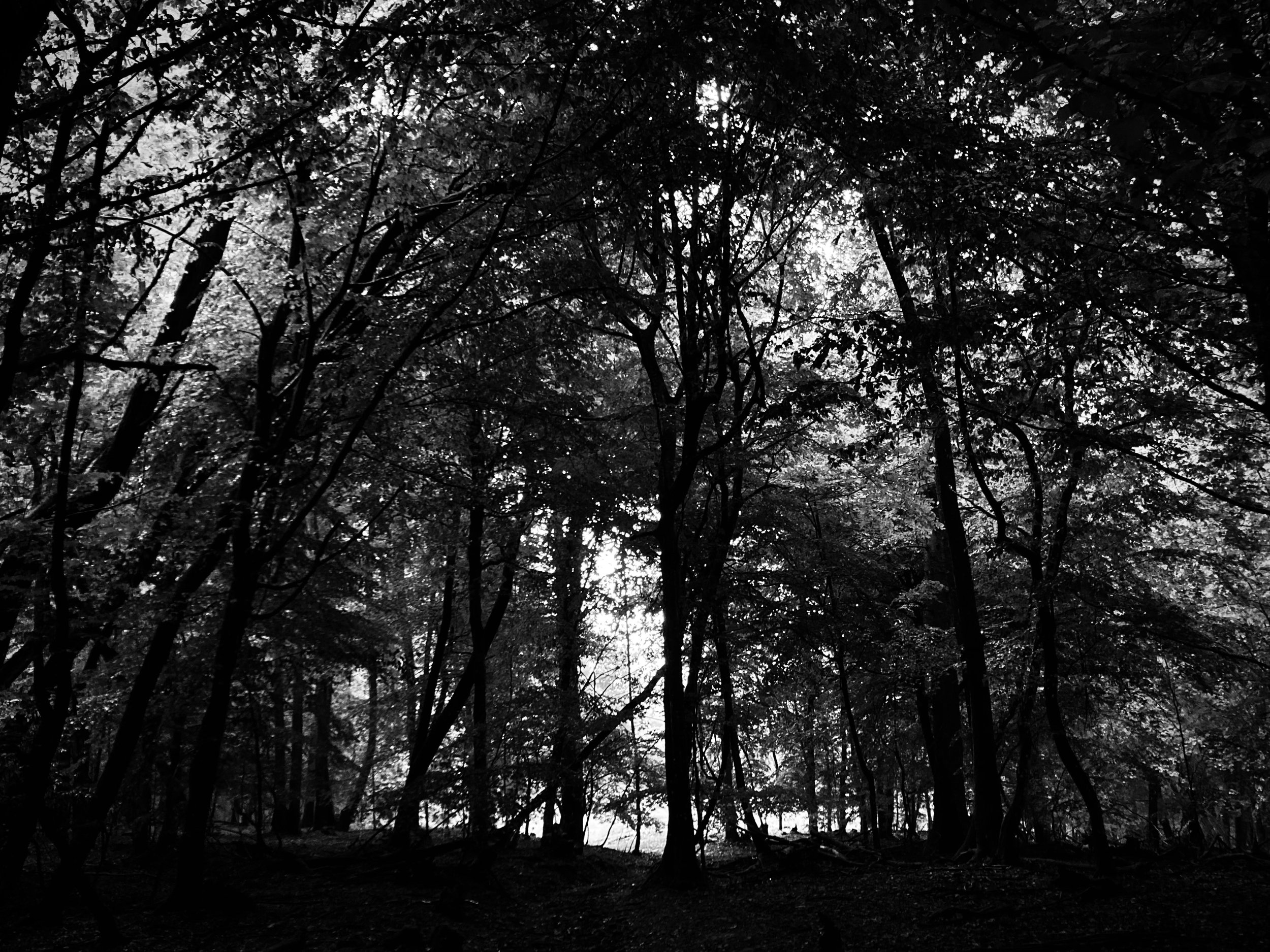 Boersch | France, 2025