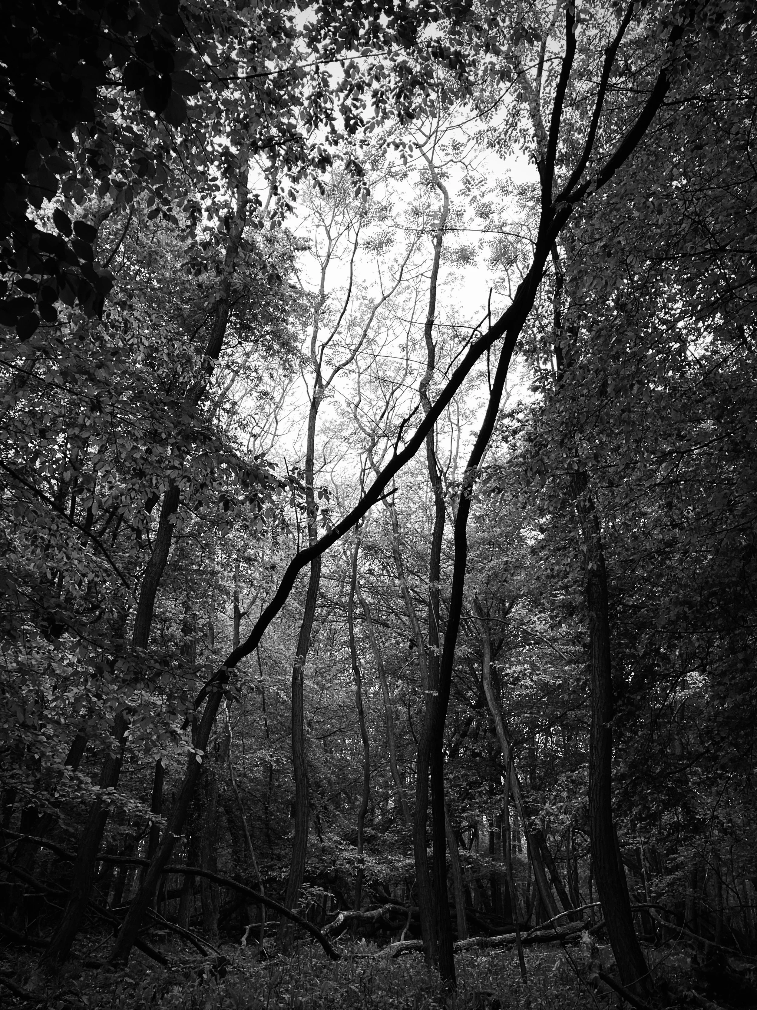 Boersch | France, 2024