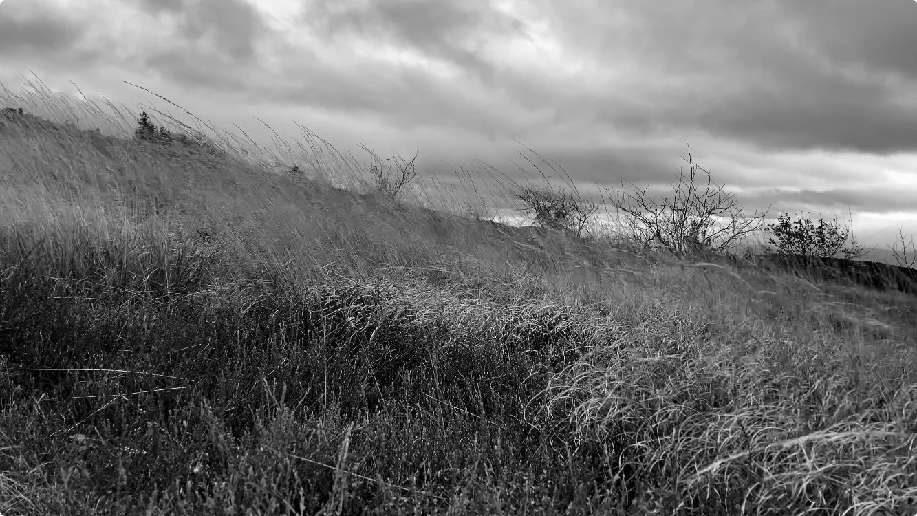 Saint-Pierre-la-Bourlhonne | France, 2023