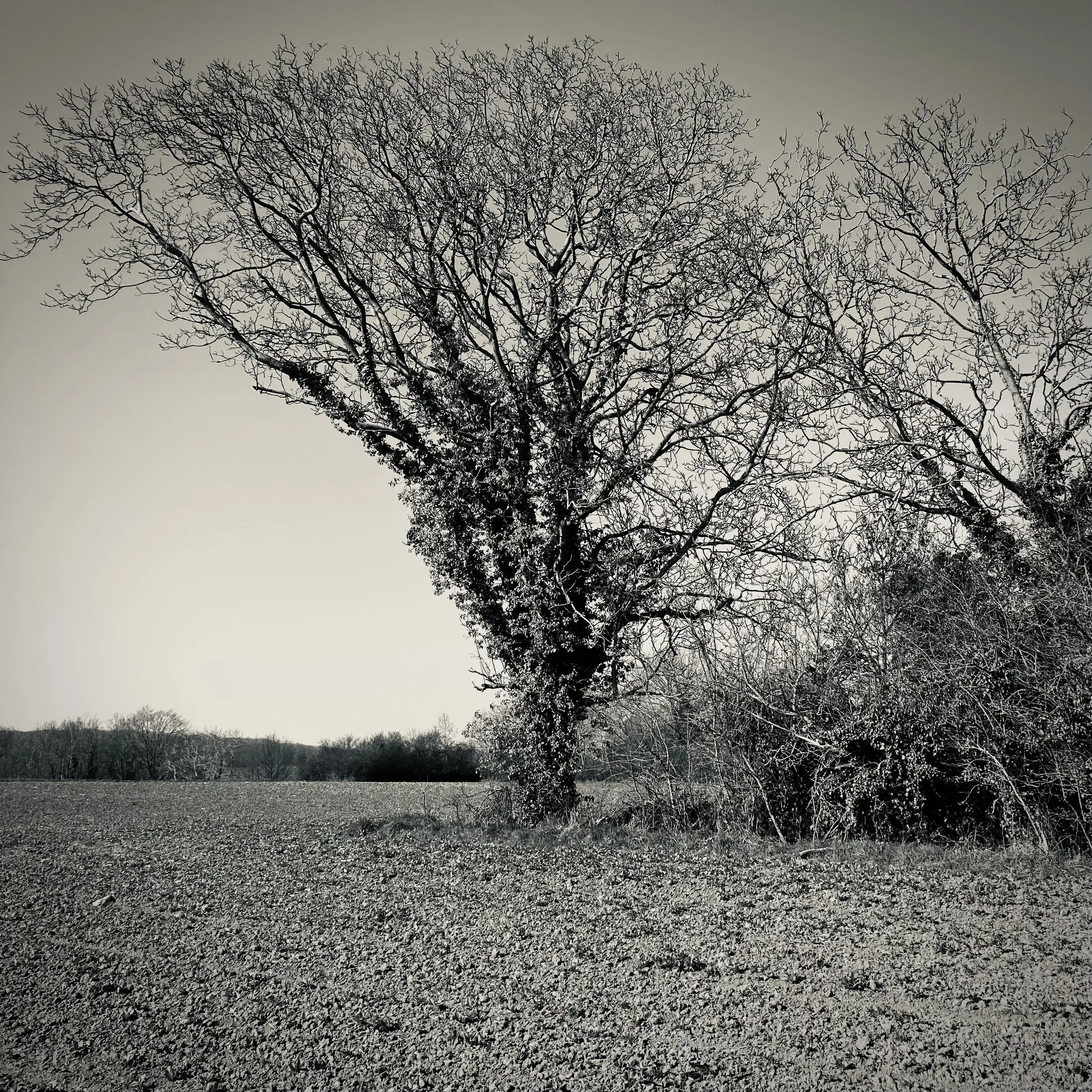 Maurecourt | France, 2023