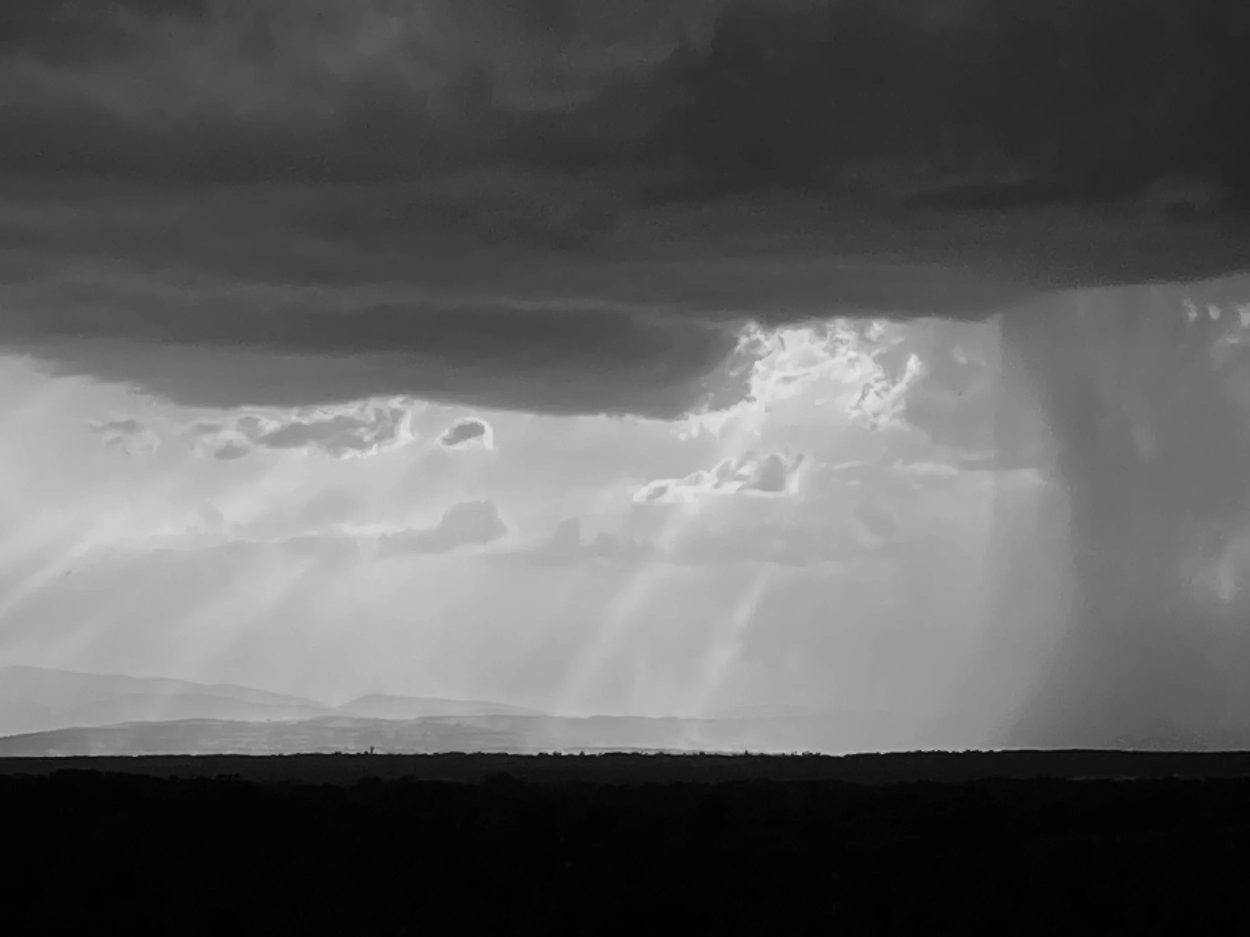 Salt-en-Donzy | France, 2023