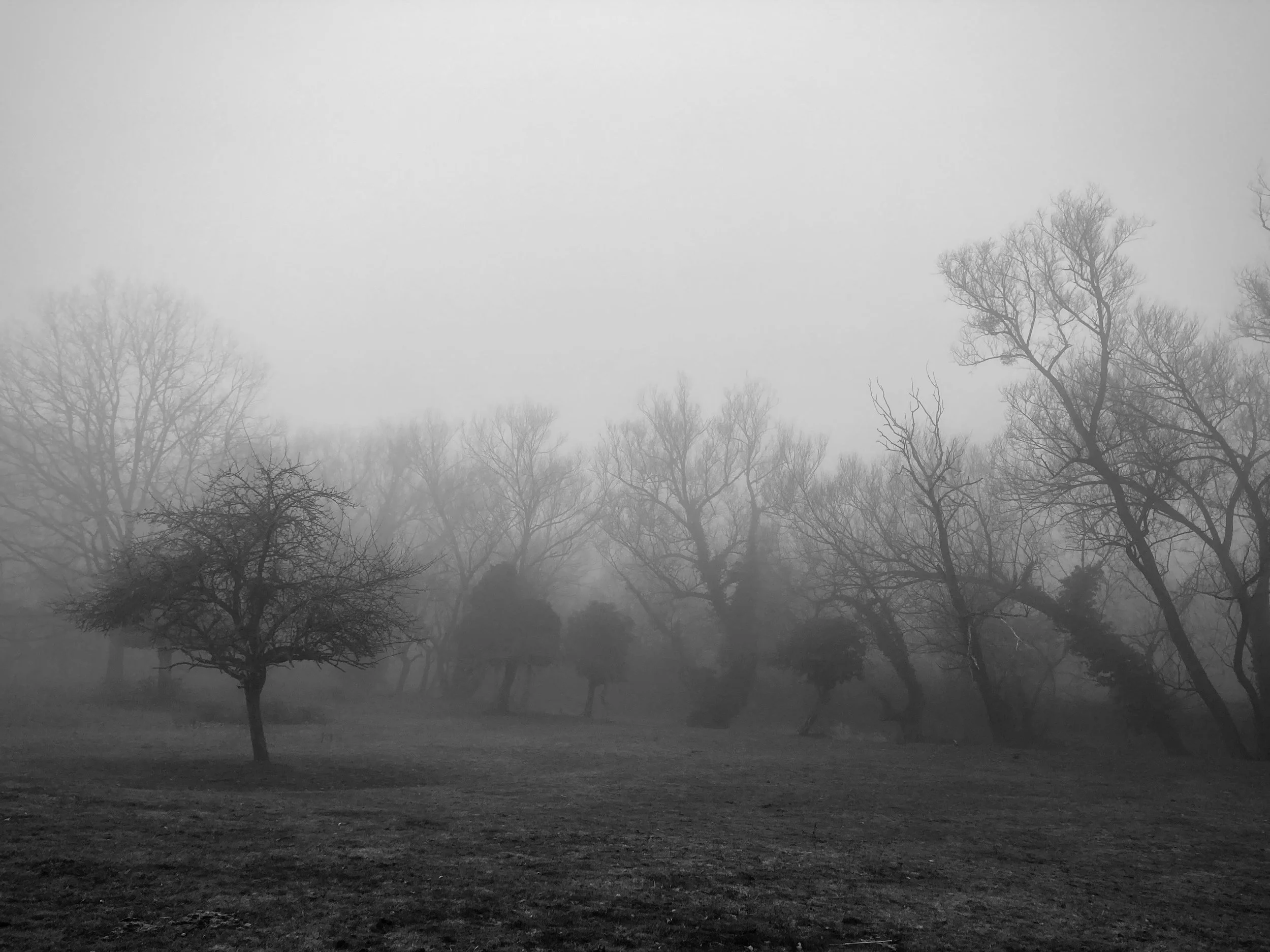 Boersch | France, 2024