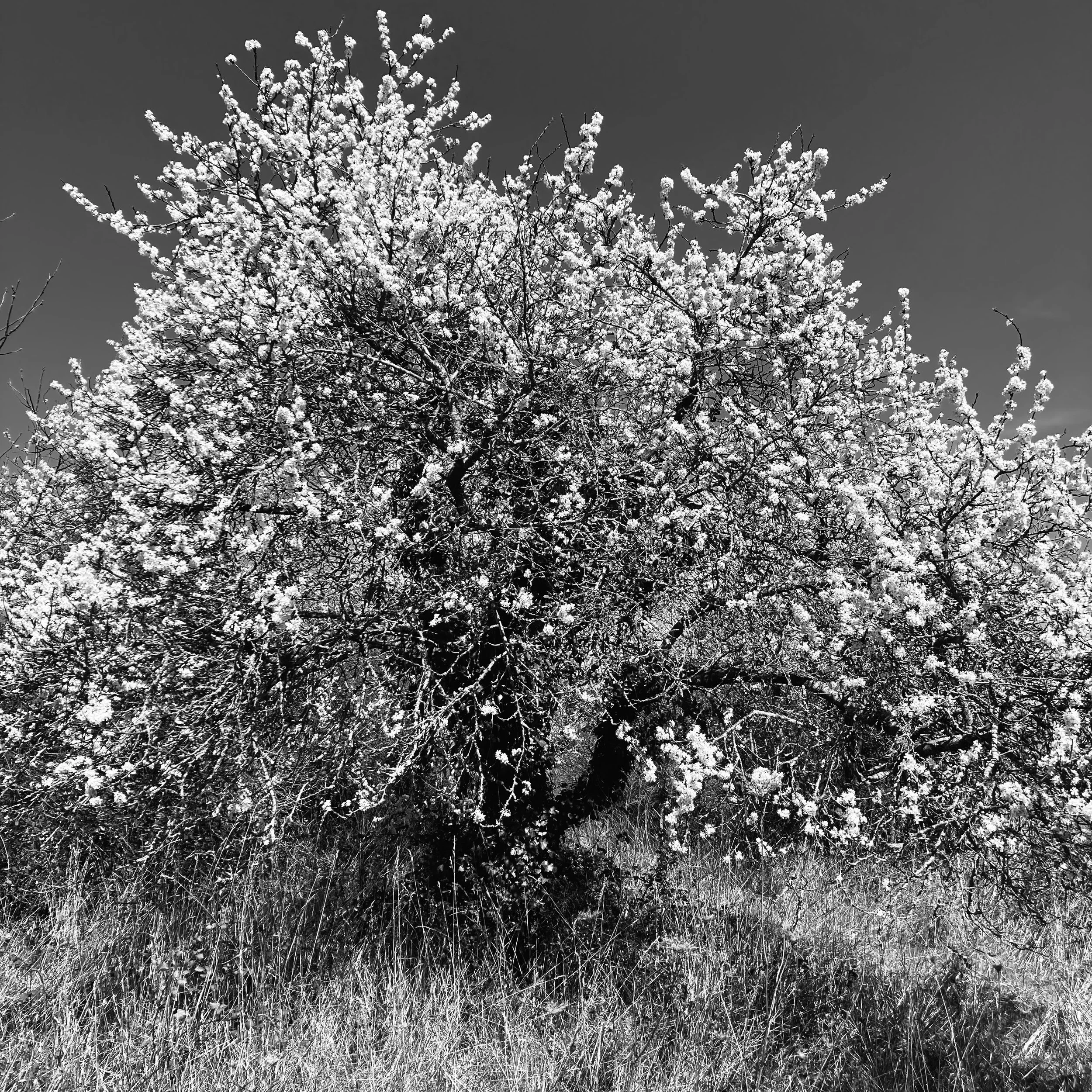 Maurecourt | France, 2023