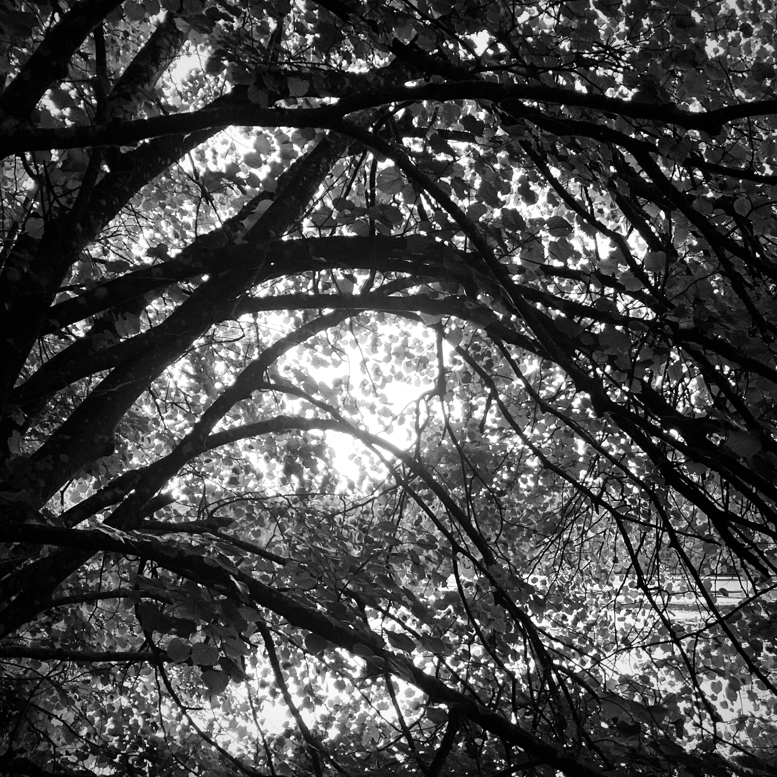 Coye-la-Forêt | France, 2023