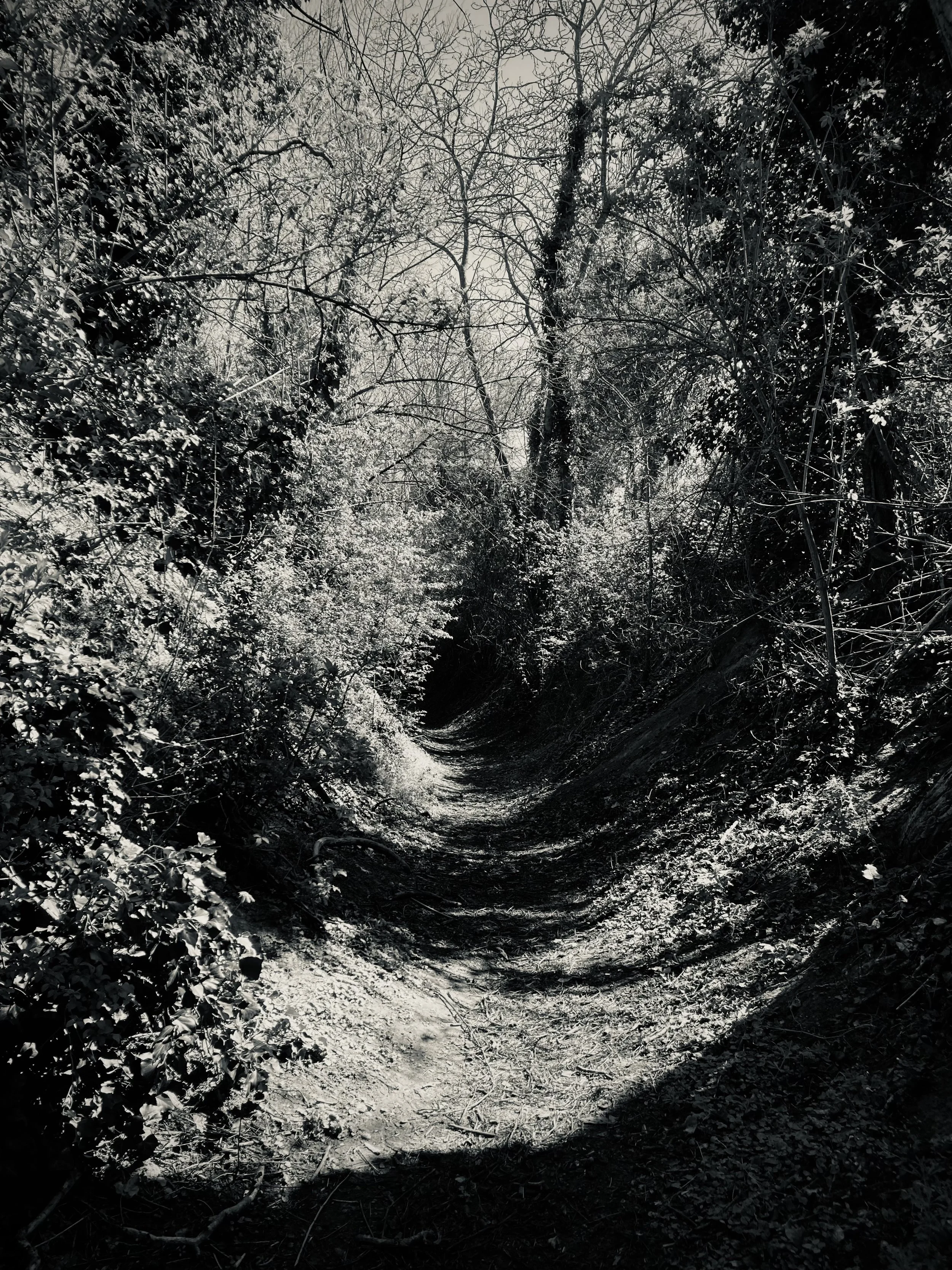 Maurecourt | France, 2023