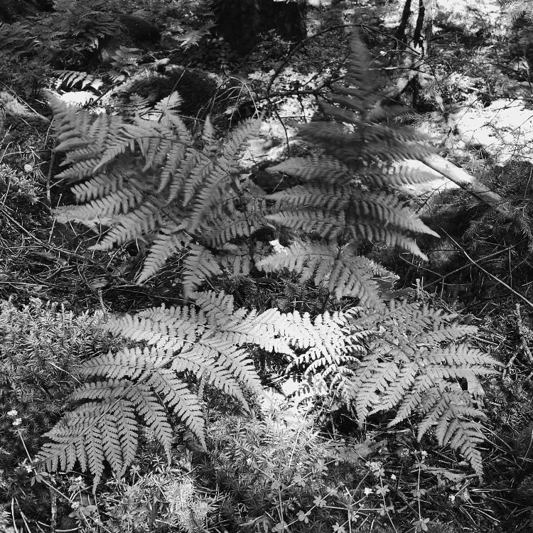 Ottrott | France, 2024