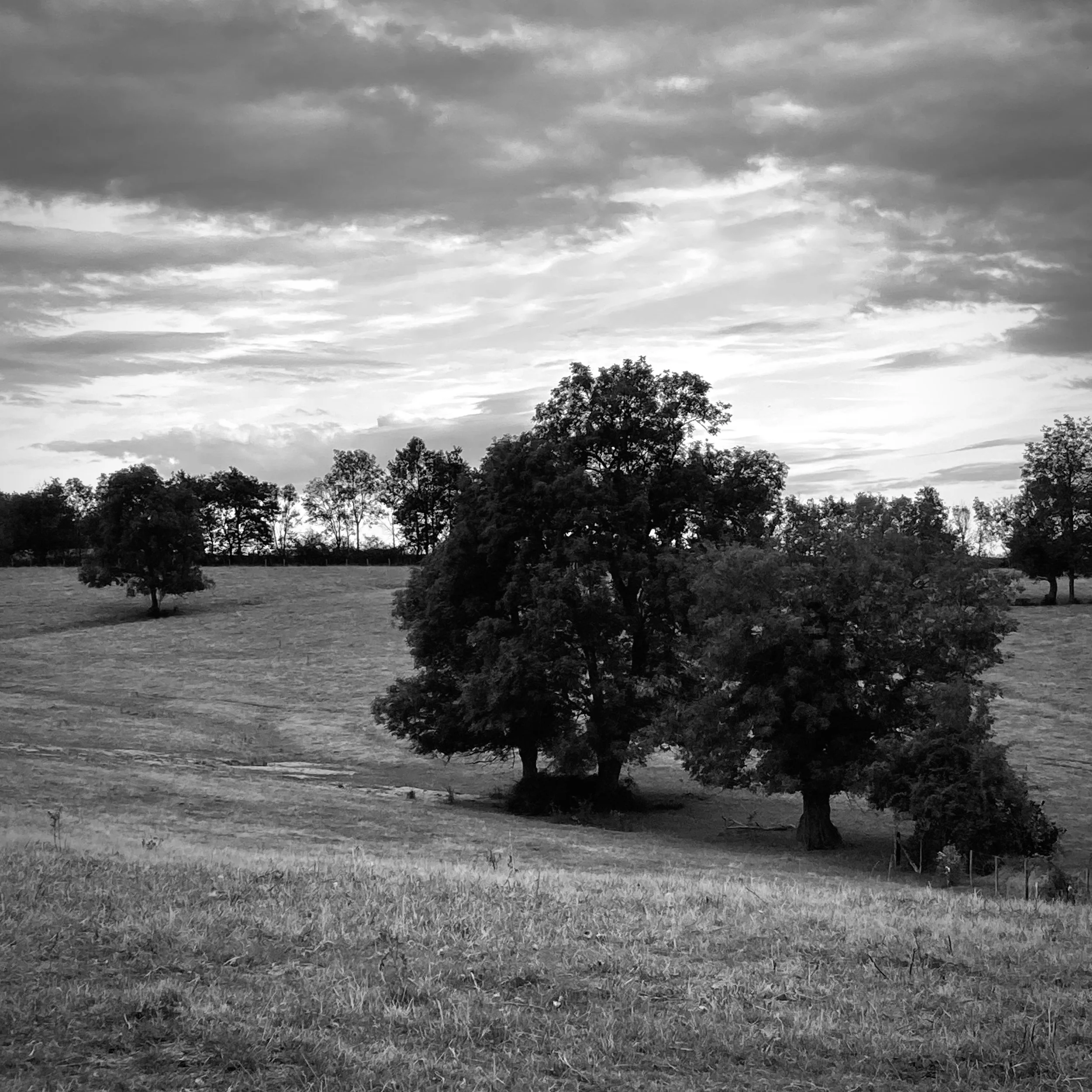 Salvizinet | France, 2023