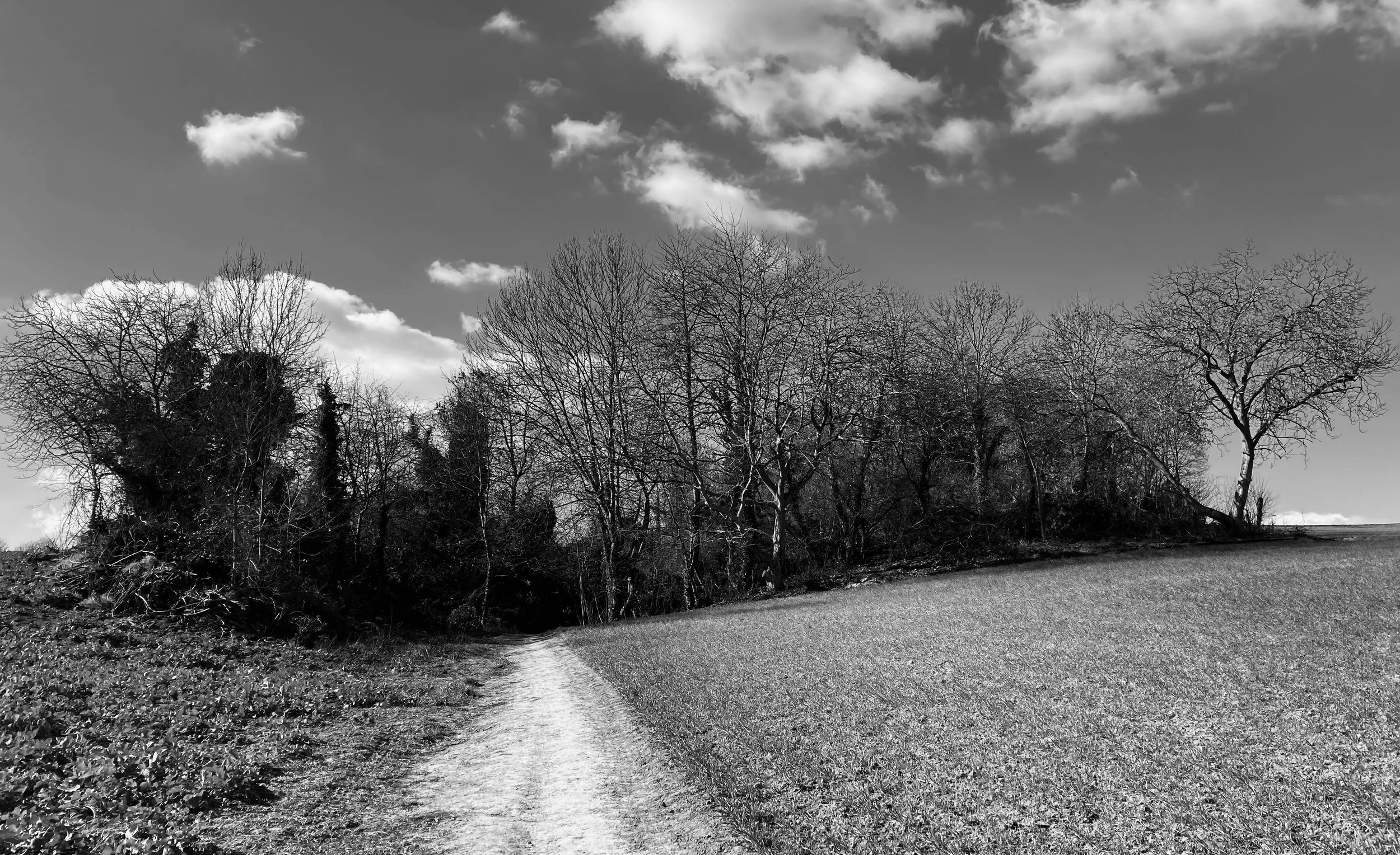 Maurecourt | France, 2023