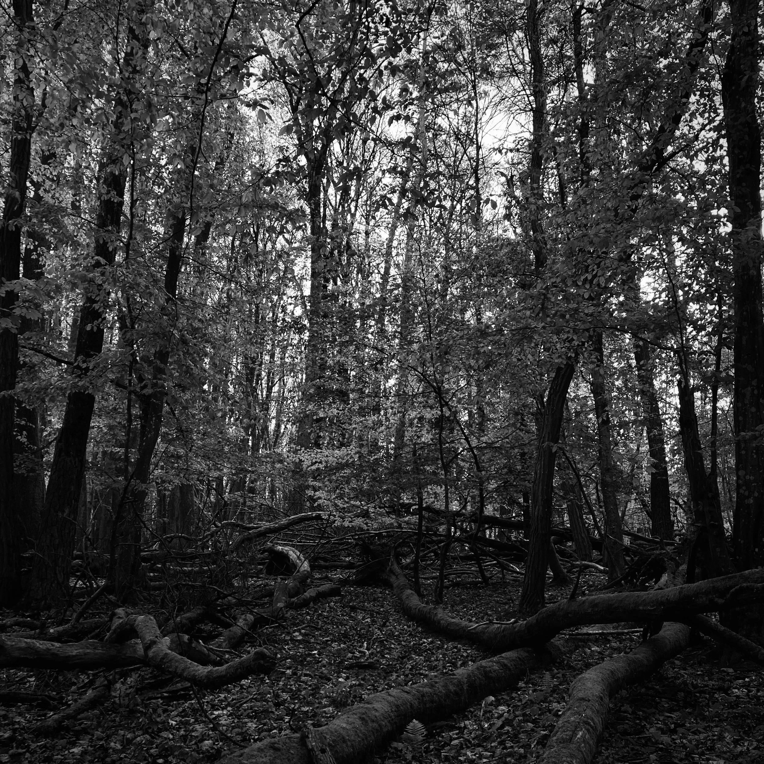 Boersch | France, 2024