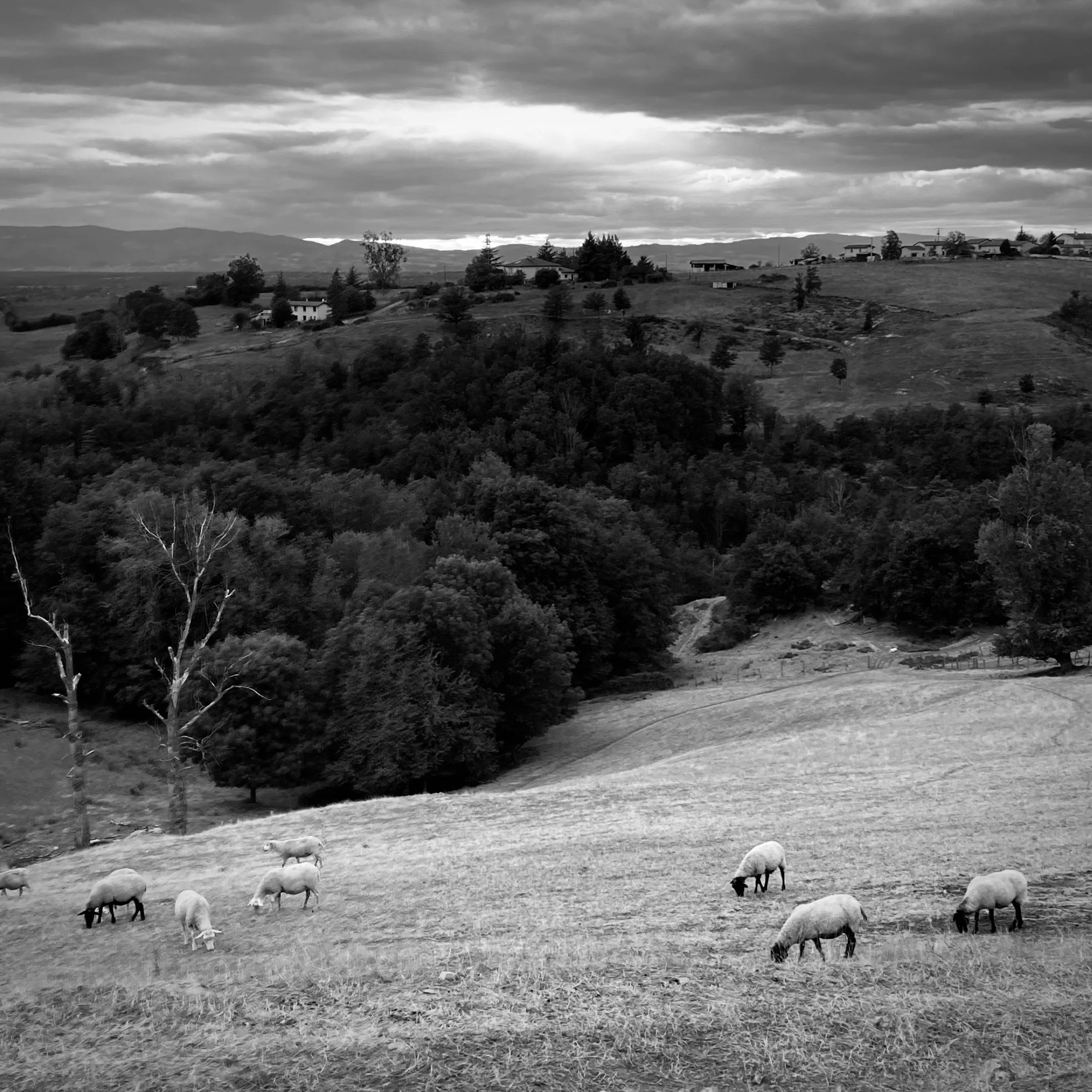 Salvizinet | France, 2023