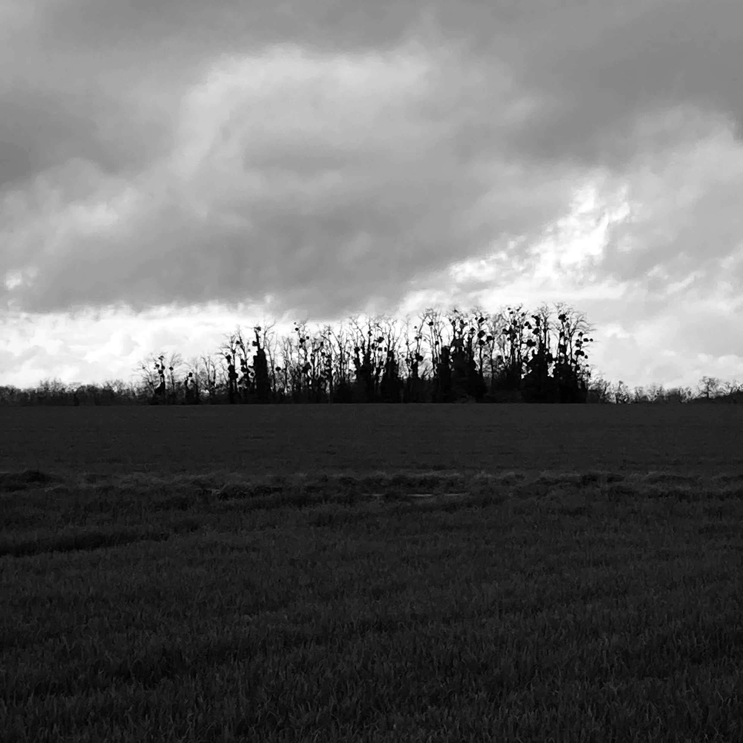 Auvers-sur-Oise | France, 2024