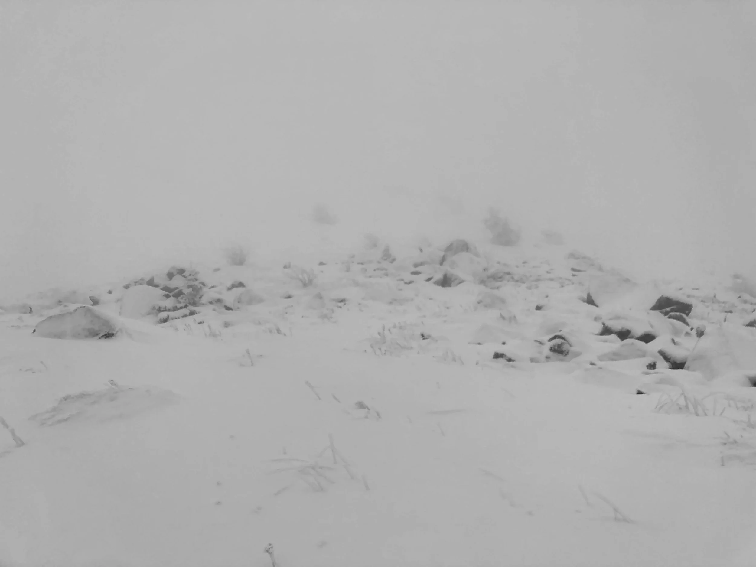 Saint-Pierre-la-Bourlhonne | France, 2023