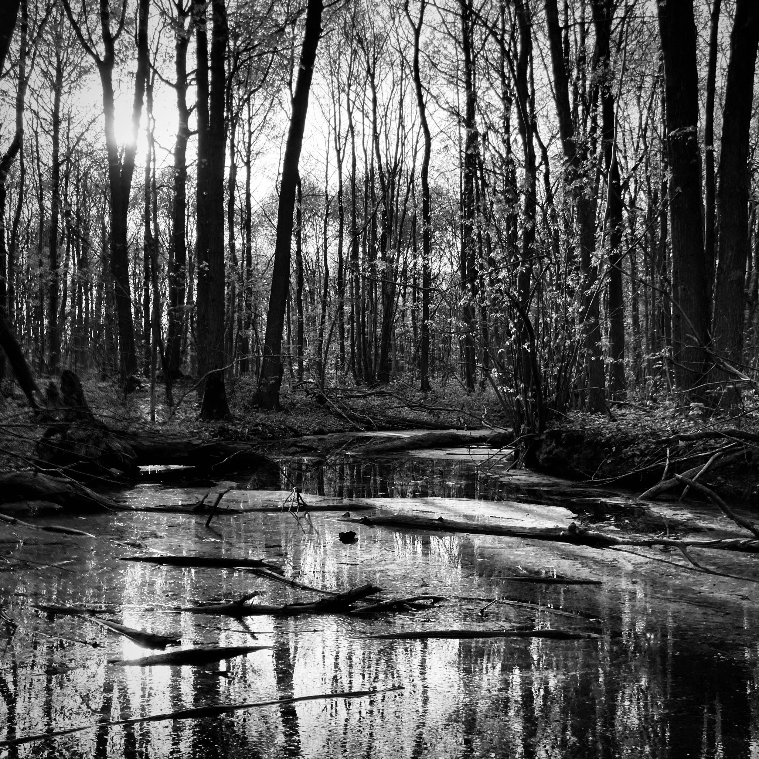 Maurecourt | France, 2023