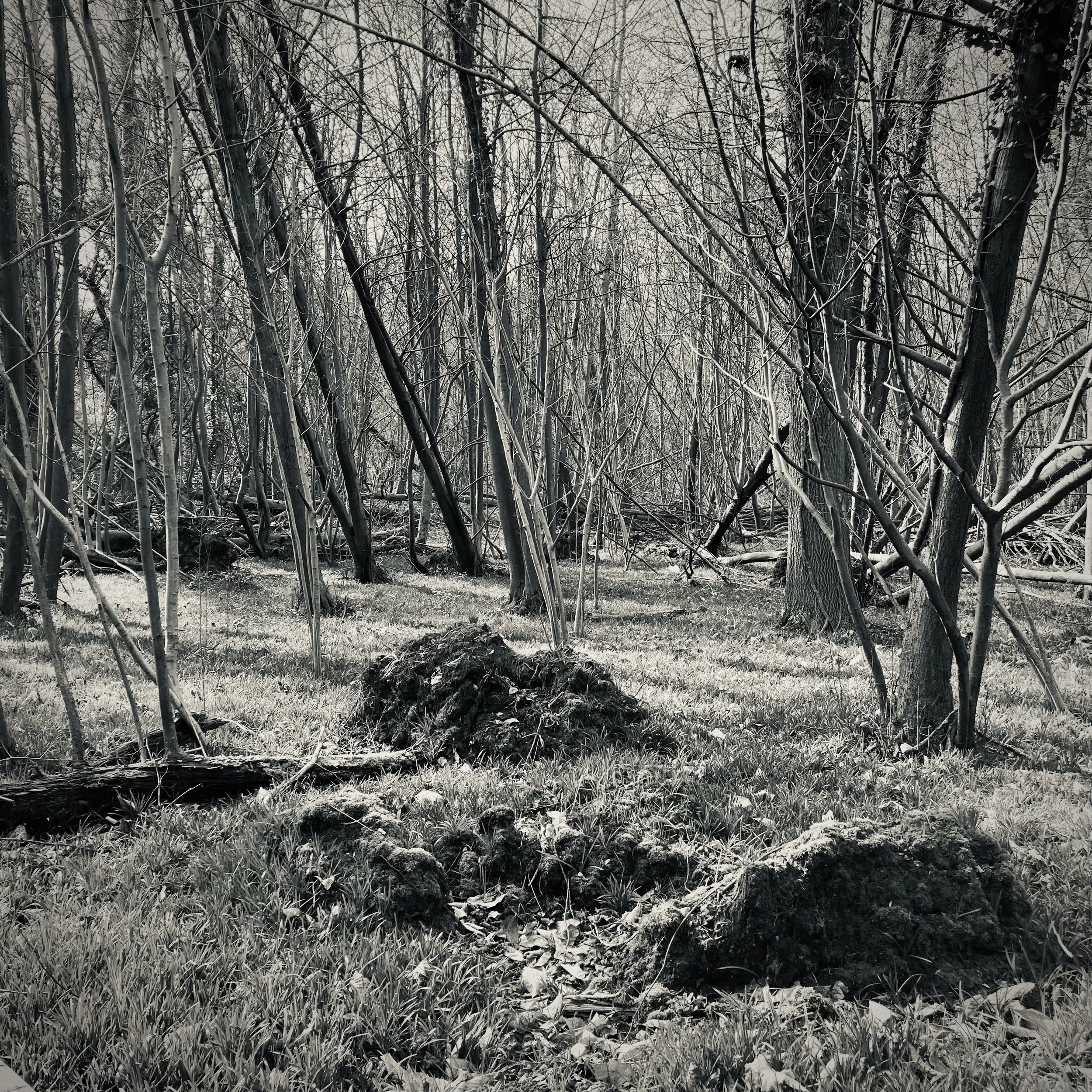 Maurecourt | France, 2023