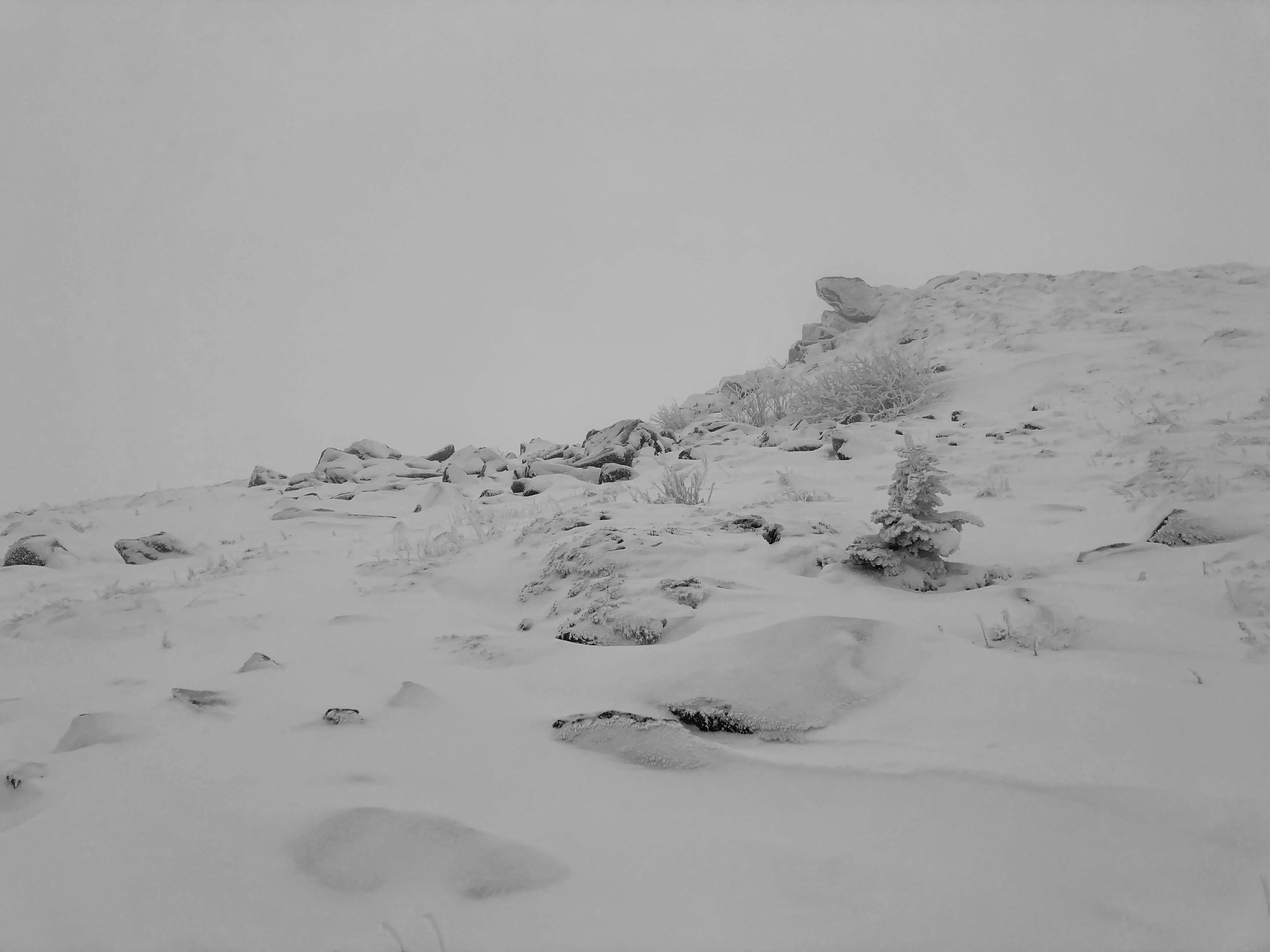 Saint-Pierre-la-Bourlhonne | France, 2023