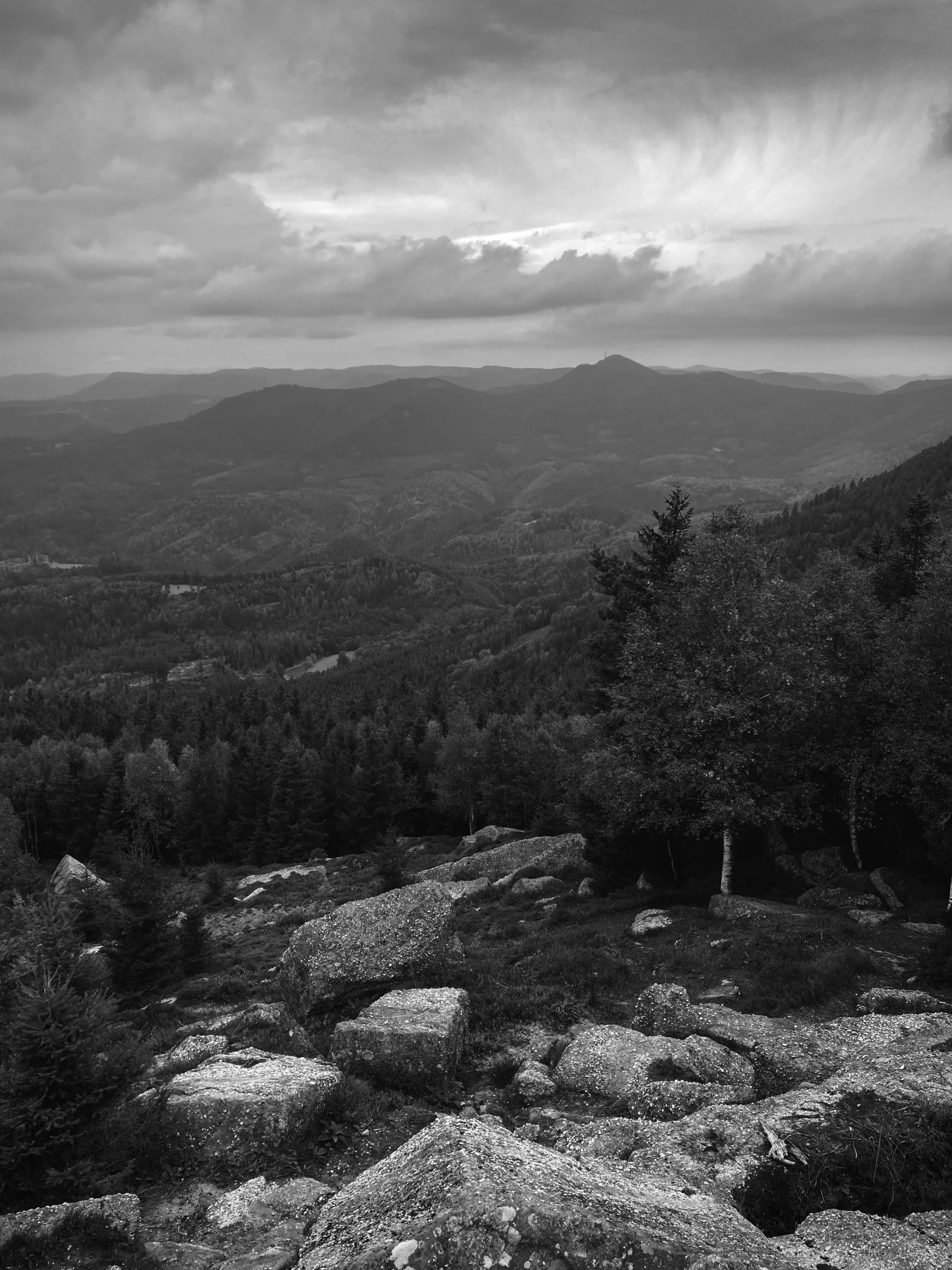 Lutzelhouse | France, 2024