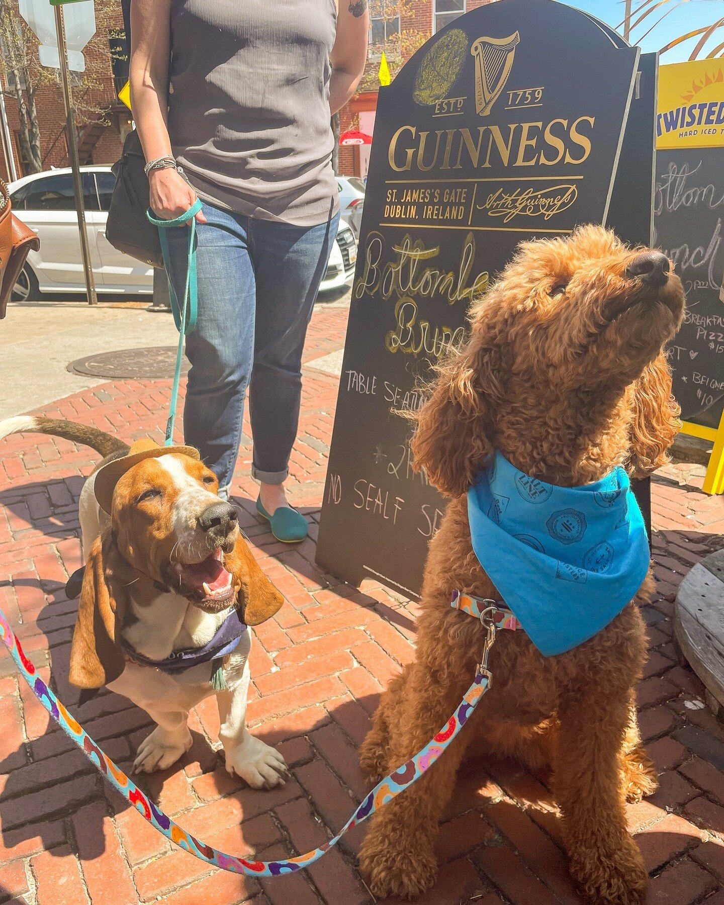 Grab your good boy or girl and #GetToThePoint for our first Yappy Hour of the season to benefit BARCS. 🐶✨ 

on May 24th, There will be pup meals for the doggies and themed drink specials for the humans!
Your $20 ticket gets you a goodie bag for you 