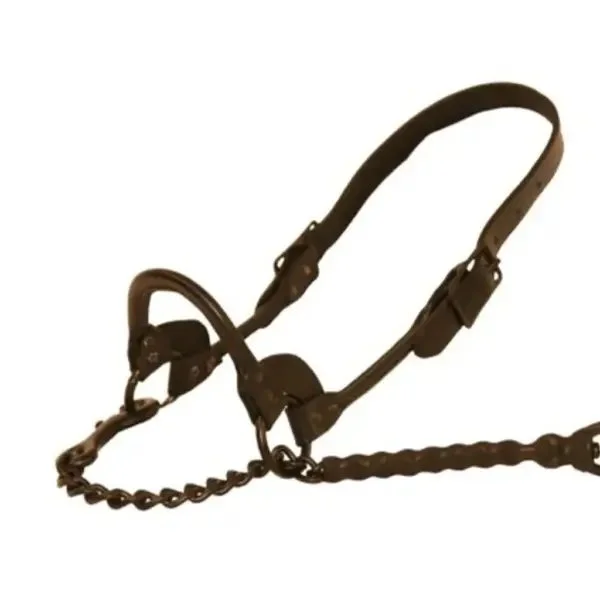 1st-class-show-halter-brown.jpeg