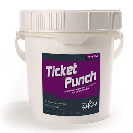 Ticket Punch
