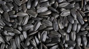 Black Sunflower Seeds