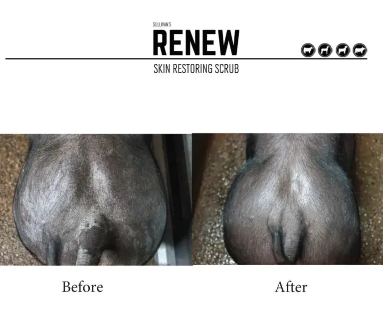 renew-skin-restoring-scrub-before-after.jpeg