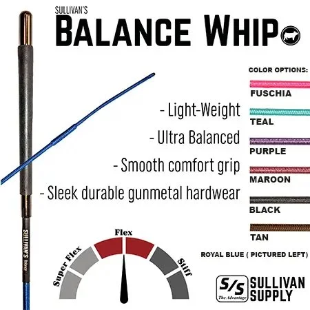 balance-whip-info.jpeg
