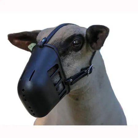 Heavy Plastic Sheep Muzzle